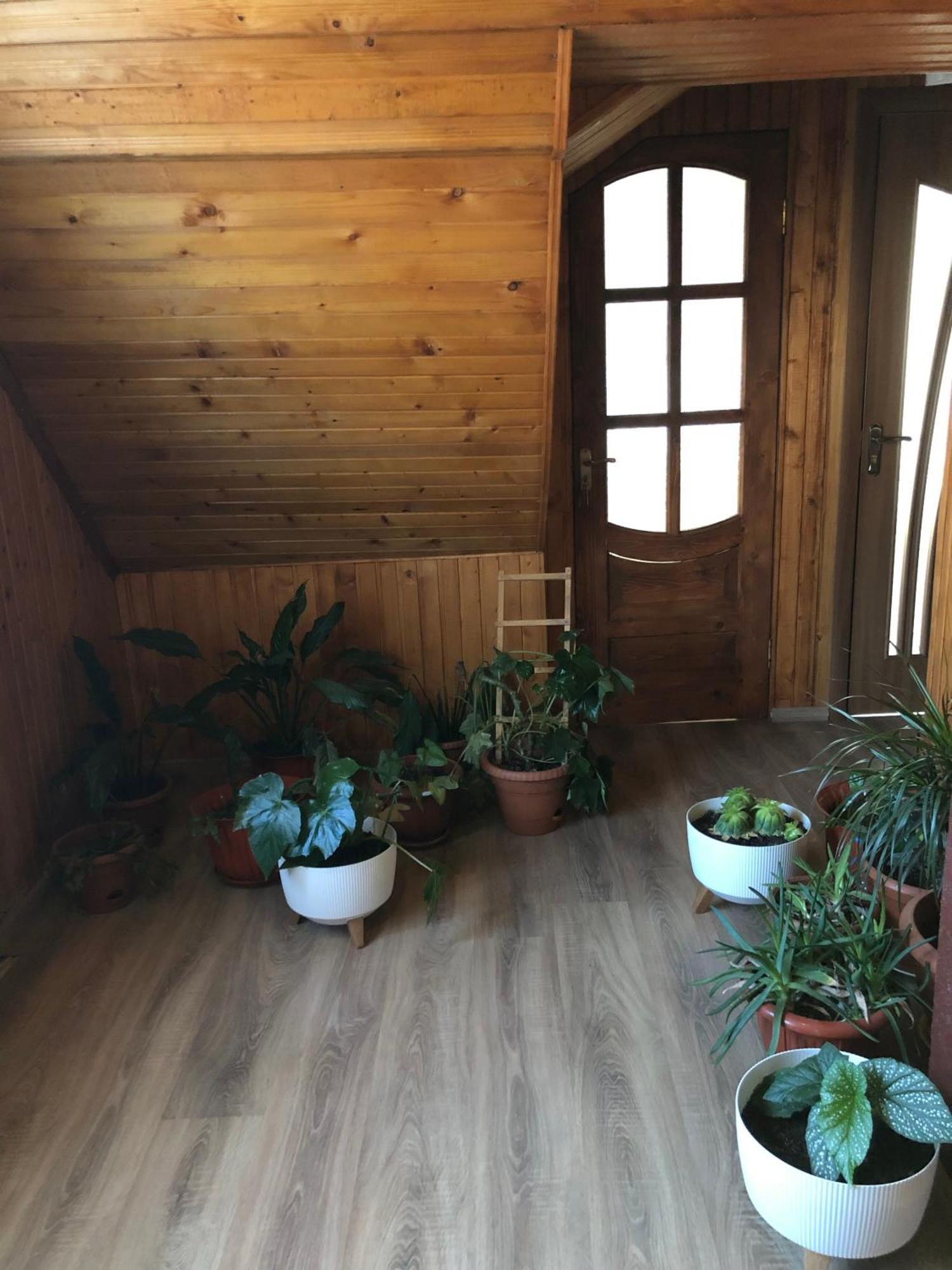 House Mold Villa Lazeshchyna Bagian luar foto